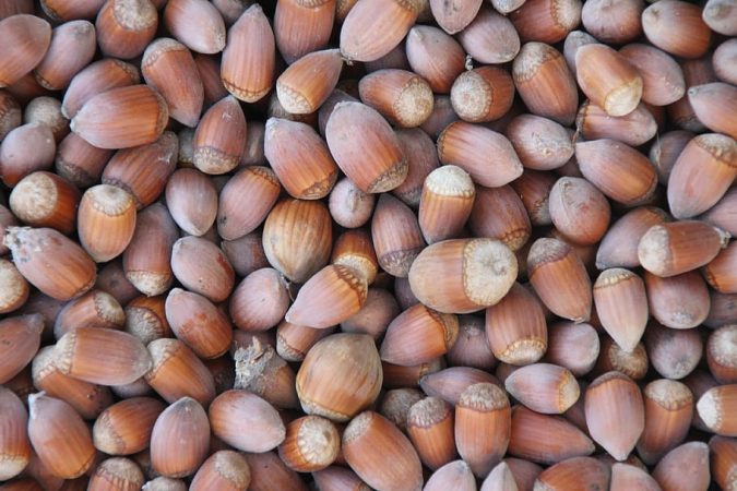 Así puedes hacer una crema de avellanas en casa 32 Merca2.es avellanas