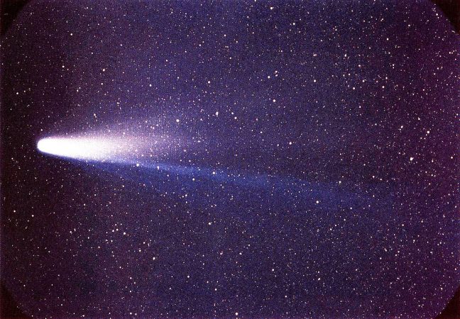 cometa Halley predicciones Nostradamus