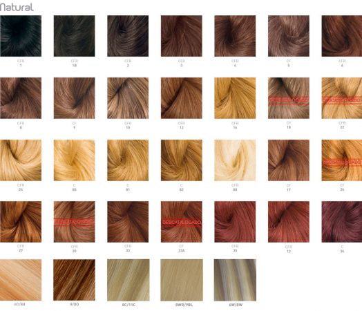 carta clolores tintes