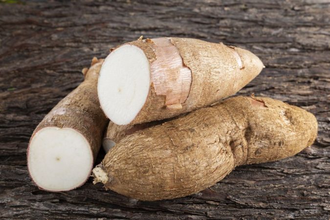 La yuca es un superalimento, pero también puede ser letal