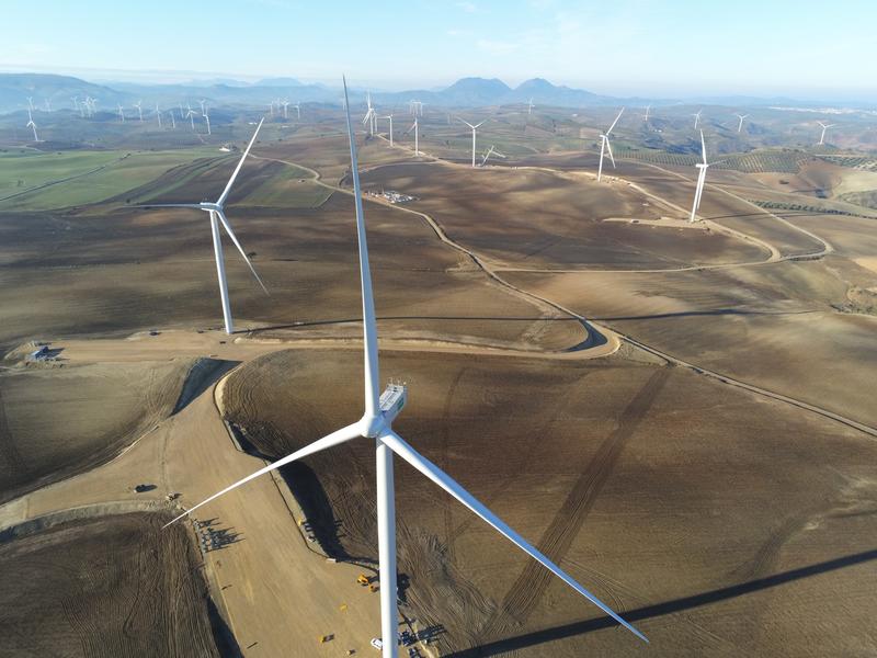 El Gobierno lanzará este año las subastas de renovables