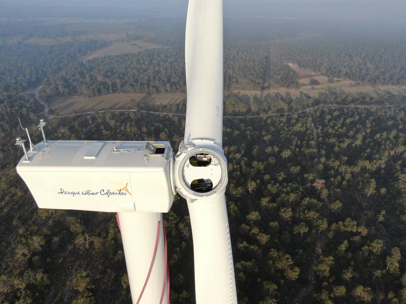 Unos 250 representantes de gobiernos, ONG, instituciones, bancos y empresas piden una recuperación verde