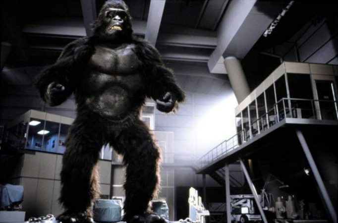 king kong lives
