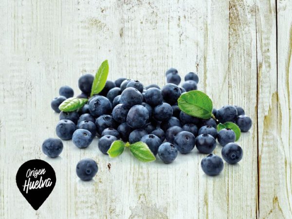 superchollos sábado Lidl - arándanos