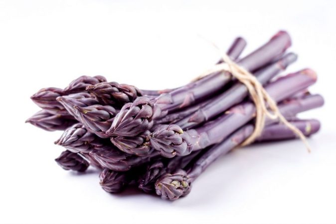 esparrago morado