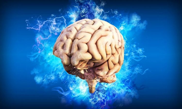 cerebro: borrar recuerdos