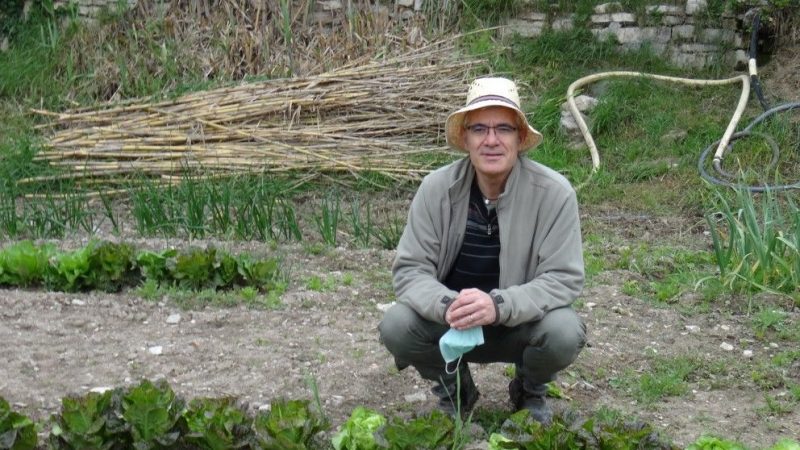 cuidar el huerto permitido