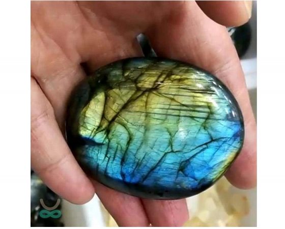 Pidra como mascota, inventos de millones