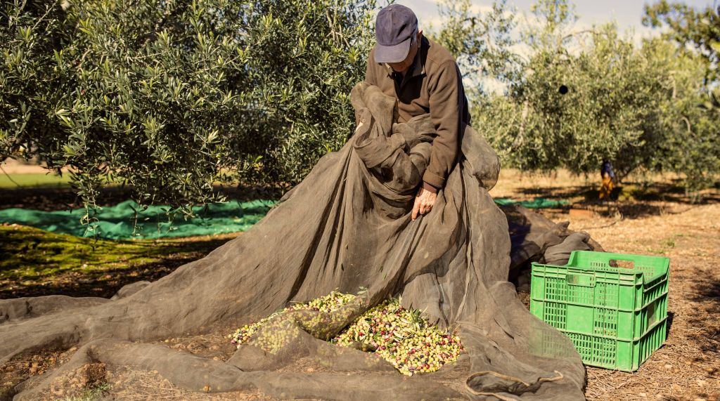 Correos ayuda a las empresas a impulsar el ecommerce con Correos Market 1 Merca2.es Agricultor Merca2.es