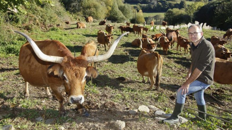 cachenas de san breixo