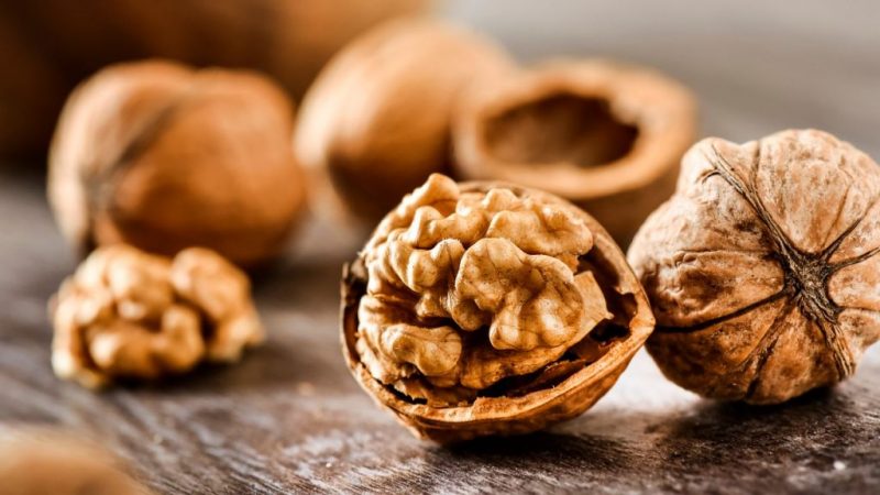 alimentos estudiar nueces