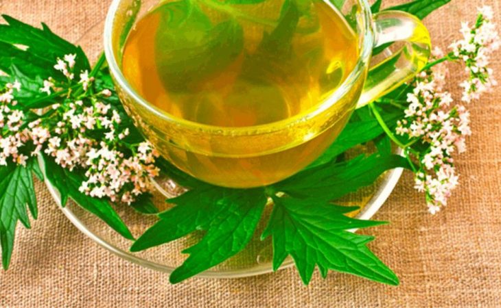 infusiones valeriana tension arterial