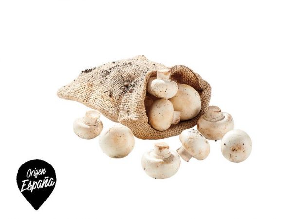 Los Superchollos de Lidl: ofertas realmente locas solo para este sábado 32 Merca2.es superchollo champiñón selecto