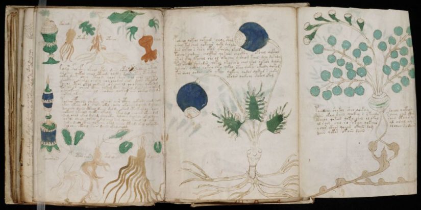 libros raros voynich Merca2.es