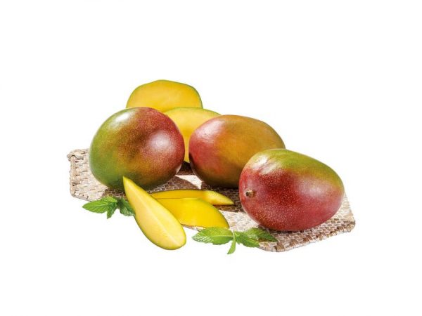 Los Superchollos de Lidl: ofertas realmente locas solo para este sábado 33 Merca2.es mango - ofertas sábado