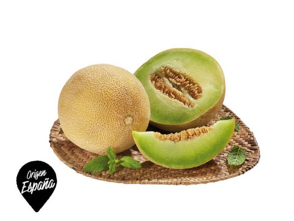 ofertas Lidl - Melón Galia origen España