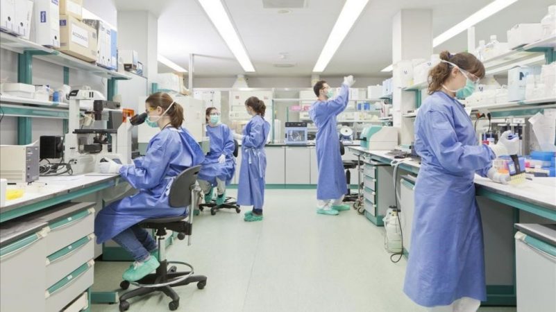 investigacion coronavirus