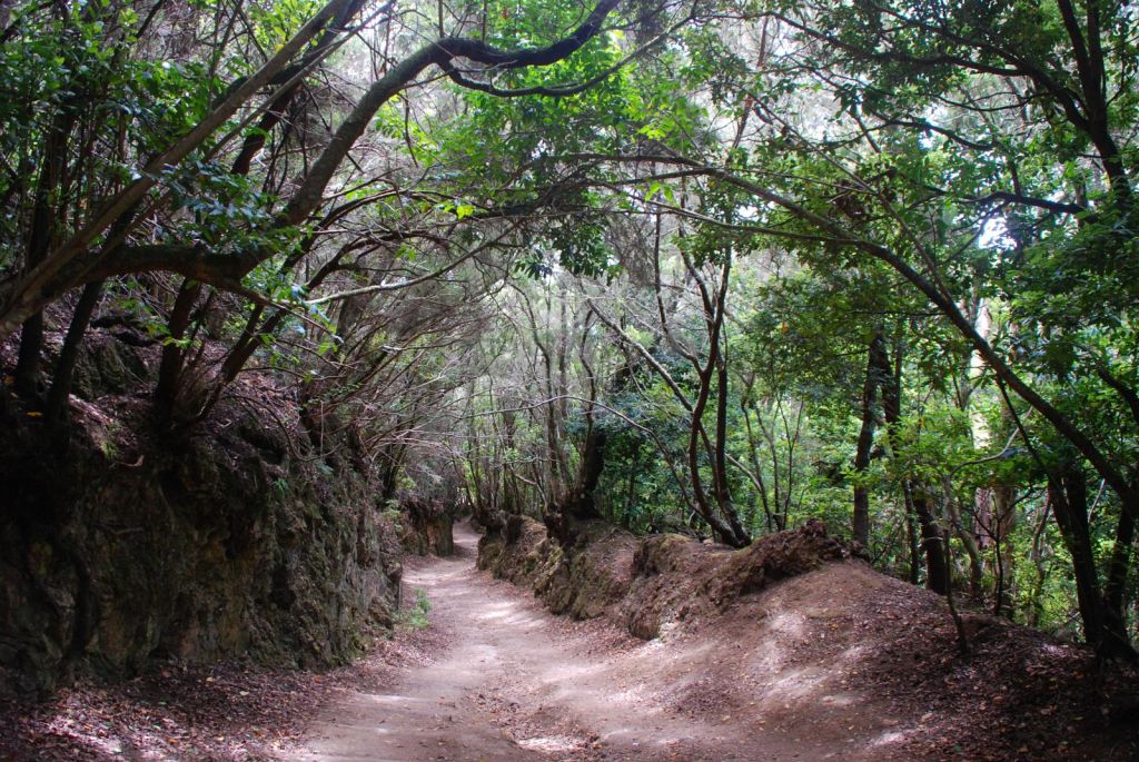 paraisos españa sendero de los sentidos