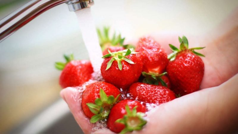 Infecciones por comer fresas 