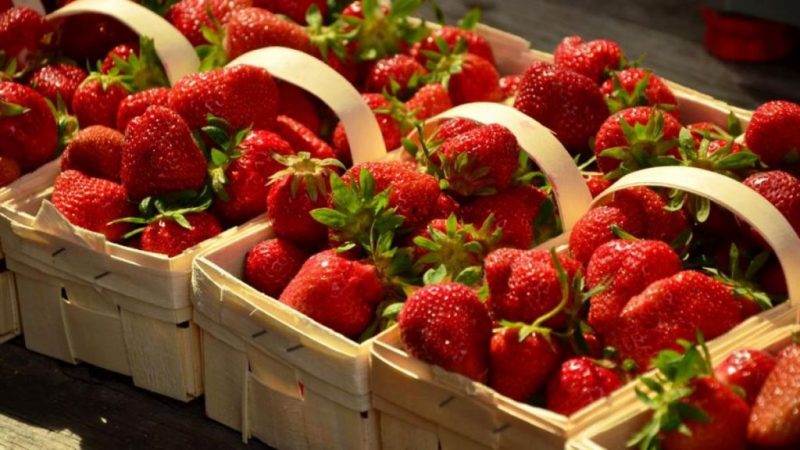 Fresas para la diabetes 