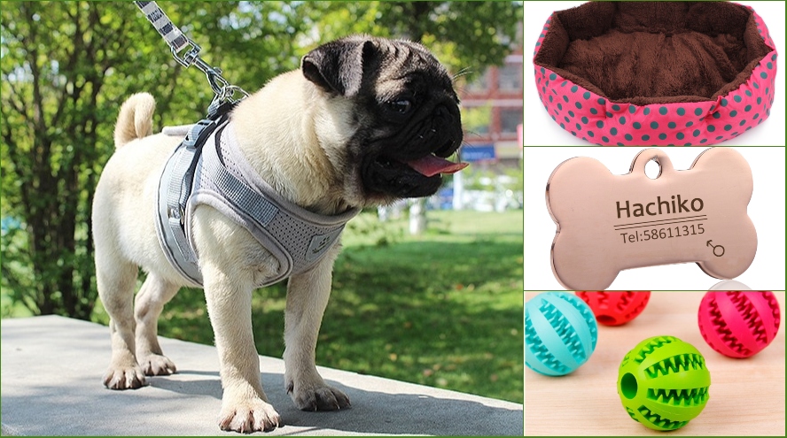 Aliexpress: ofertas en accesorios para mascotas por menos de 5 euros