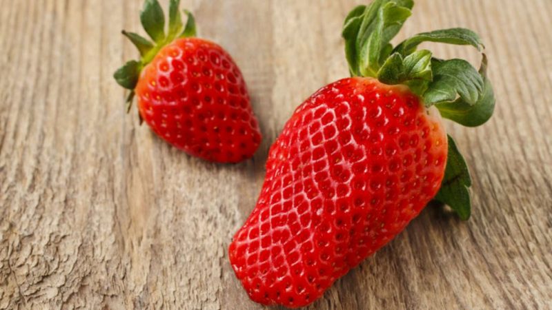 Otros consejos para mantener las fresas frescas por más tiempo