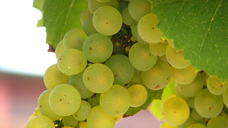 LAVANGUARDIA G 8963239019 kykH U431397654993VcC 992x558@LaVanguardia Web Merca2.es