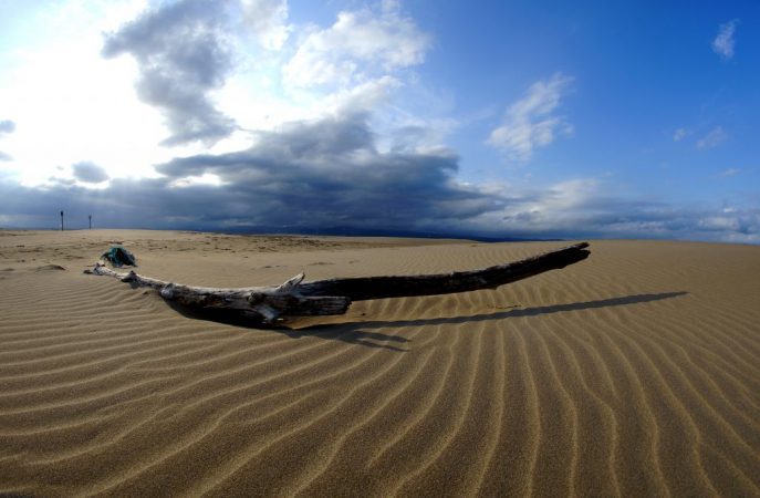 Punta del Fangar, playas España