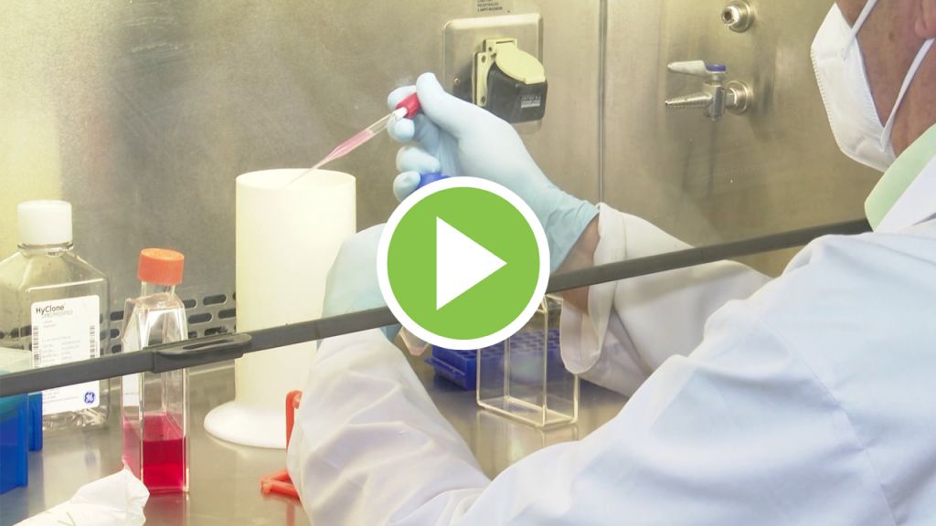 Una de las vacunas contra el coronavirus  podría estar lista para 2021