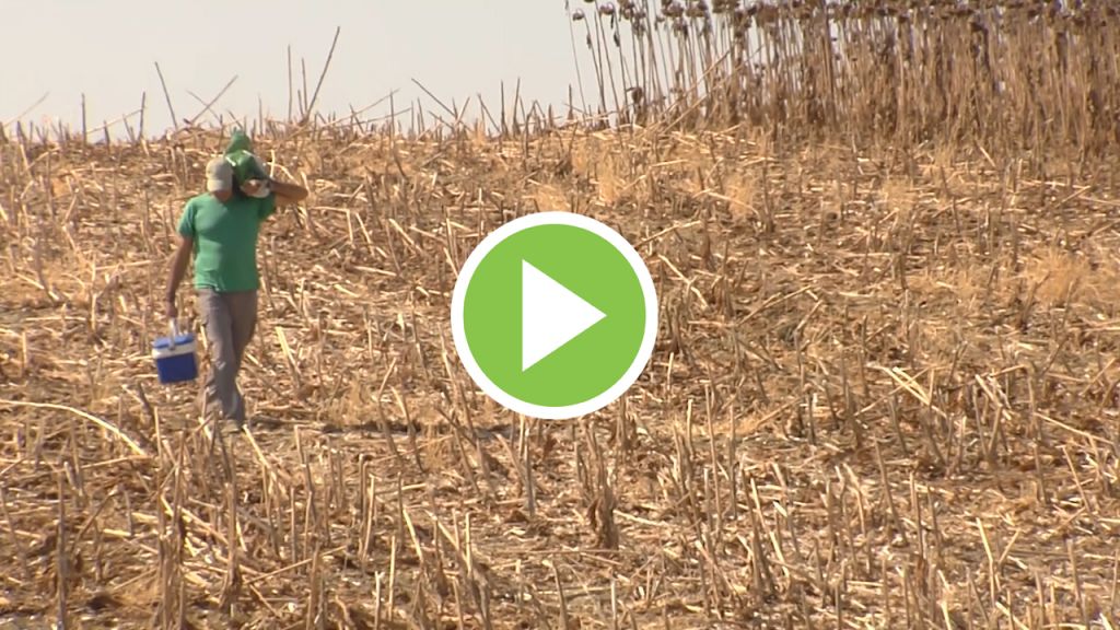 El campo español quiere seguir abasteciendo a Europa pese a la crisis sanitaria