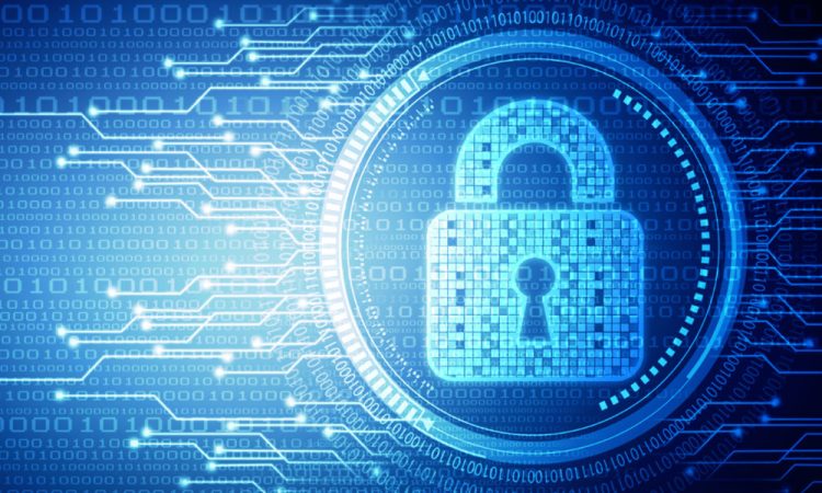 seguridad online