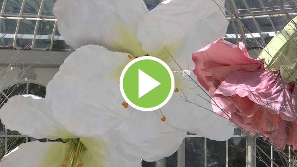 El Palacio de Cristal decorado con las flores gigantes de Petrit Halilaj