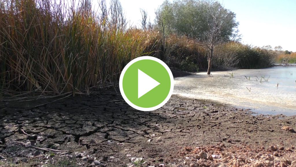 Según un estudio el mundo vivirá más sequía y aridez atmosférica