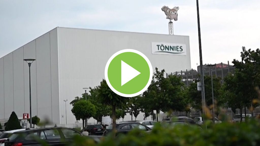 Reapertura del matadero en Alemania donde se desató un brote de COVID-19