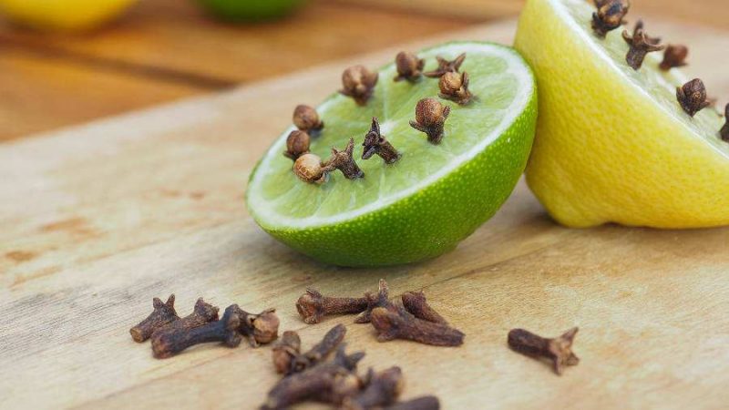 Limón con clavos para las moscas repelentes