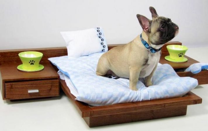 Consejos para elegir “hotel” para tu mascota en vacaciones 18 Merca2.es La importancia del espacio