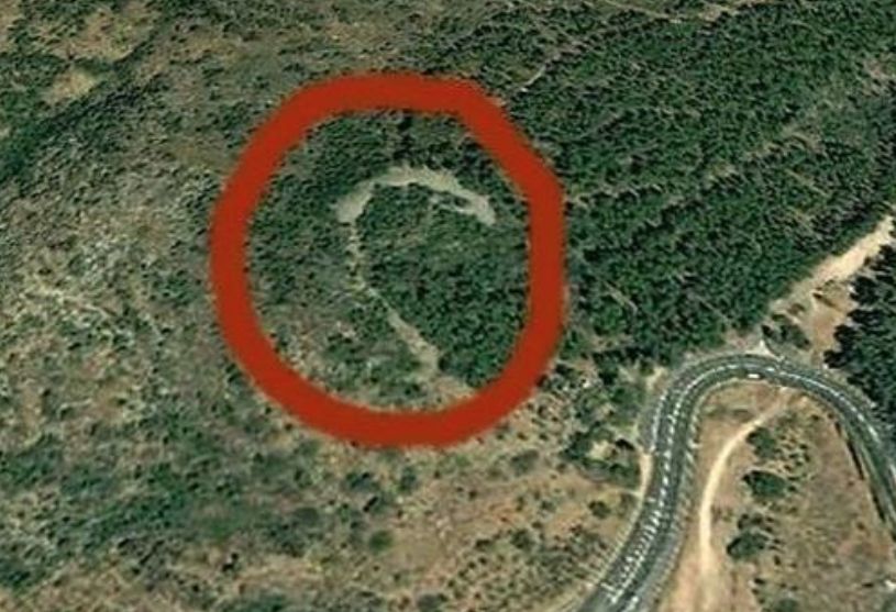 El conejo rosa de los Alpes y otros hallazgos inverosímiles que hay en el mundo