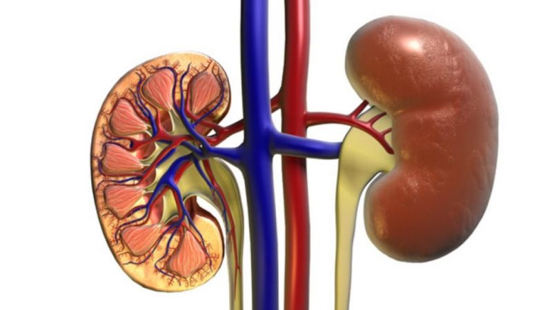insuficiencia renal Merca2.es