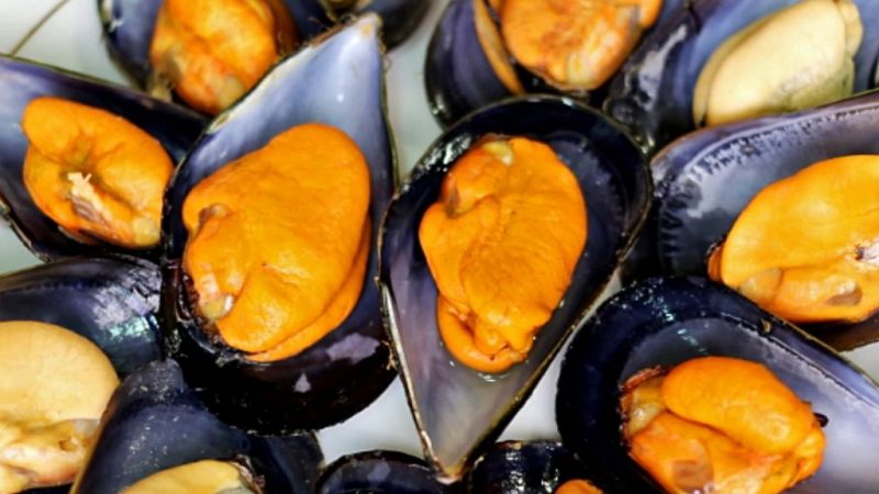 maxresdefault 1 1 Merca2.es