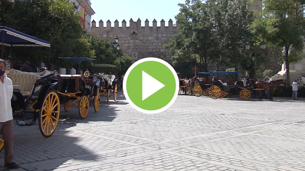 Verano difícil sin turistas para los cocheros de caballos de Sevilla