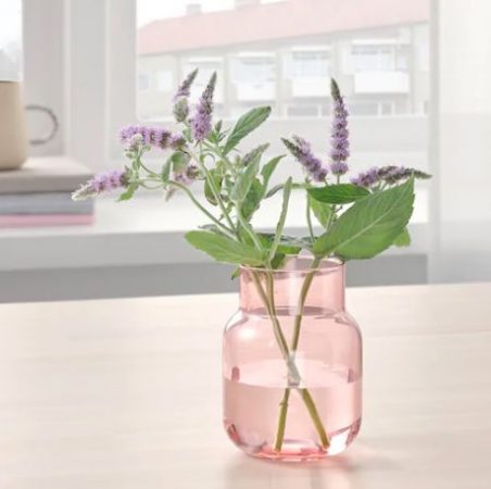 Captura de pantalla 2020 09 08 a las 17.37.36 Merca2.es