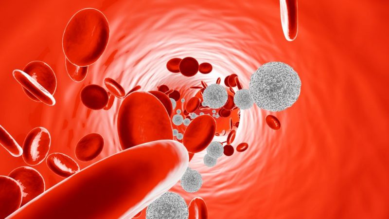 Daños en los órganos Cuerpo