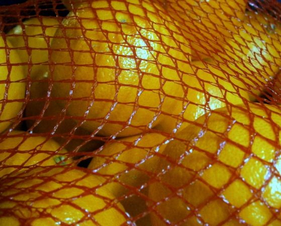 malla de naranjas Carrefour