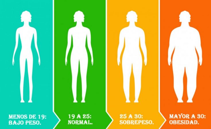 masa corporal Merca2.es