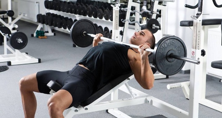 Entrenar grupos musculares