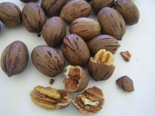 nueces de pecán Mercadona
