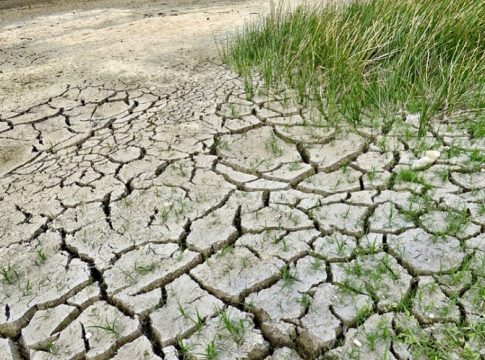 Cambio-Climatico-Naturgy Cambio-Climatico-Naturgy