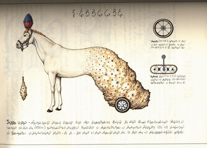 codex seraphinianus