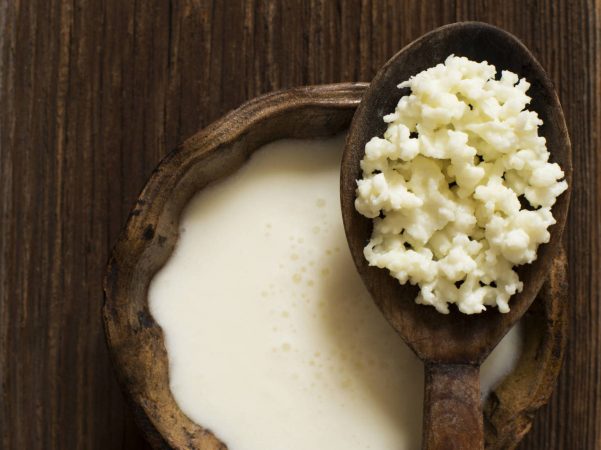 como hacer en tu casa kefir el rey de los probioticos Merca2