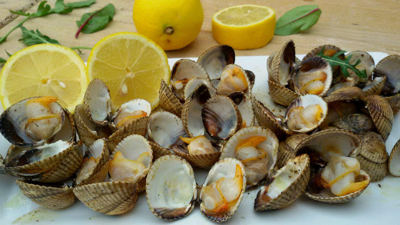 ofertas alimentacion carrefour